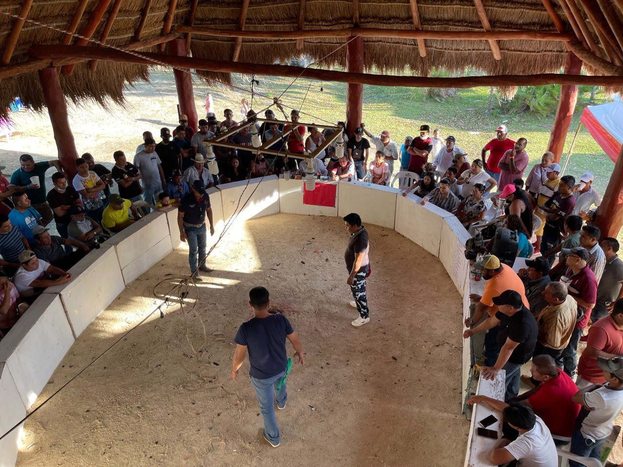 Peleas de gallos, un patrimonio cultural en Quintana Roo