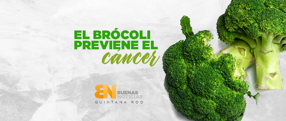 El brócoli puede prevenir hasta 12 tipos de cáncer. Te contamos cómo