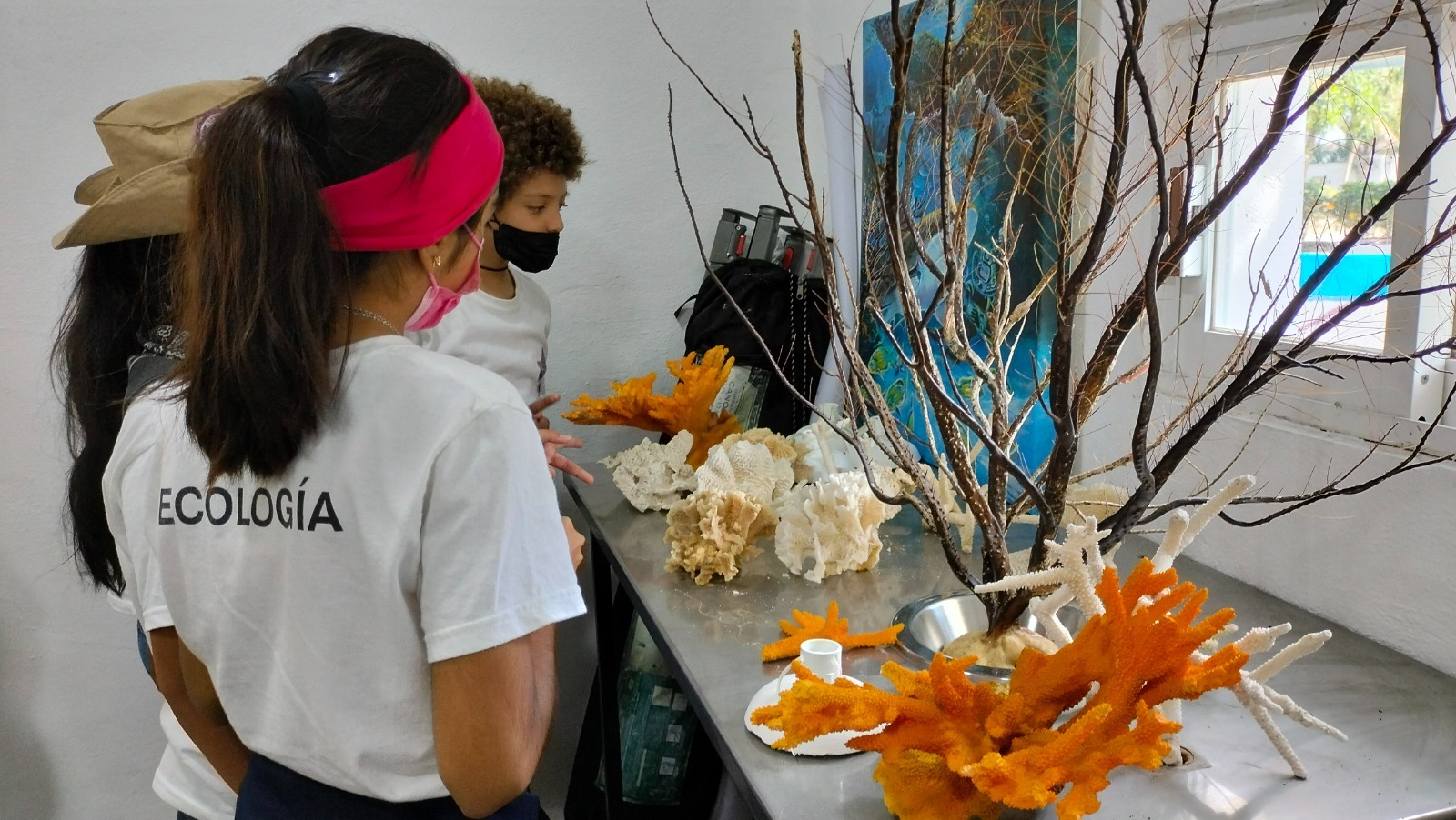 Crean en Cozumel primer laboratorio de corales… ¡conócelo!