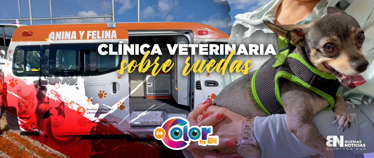 VIDEO: Clínica veterinaria sobre ruedas en Cancún… ¡conócela!