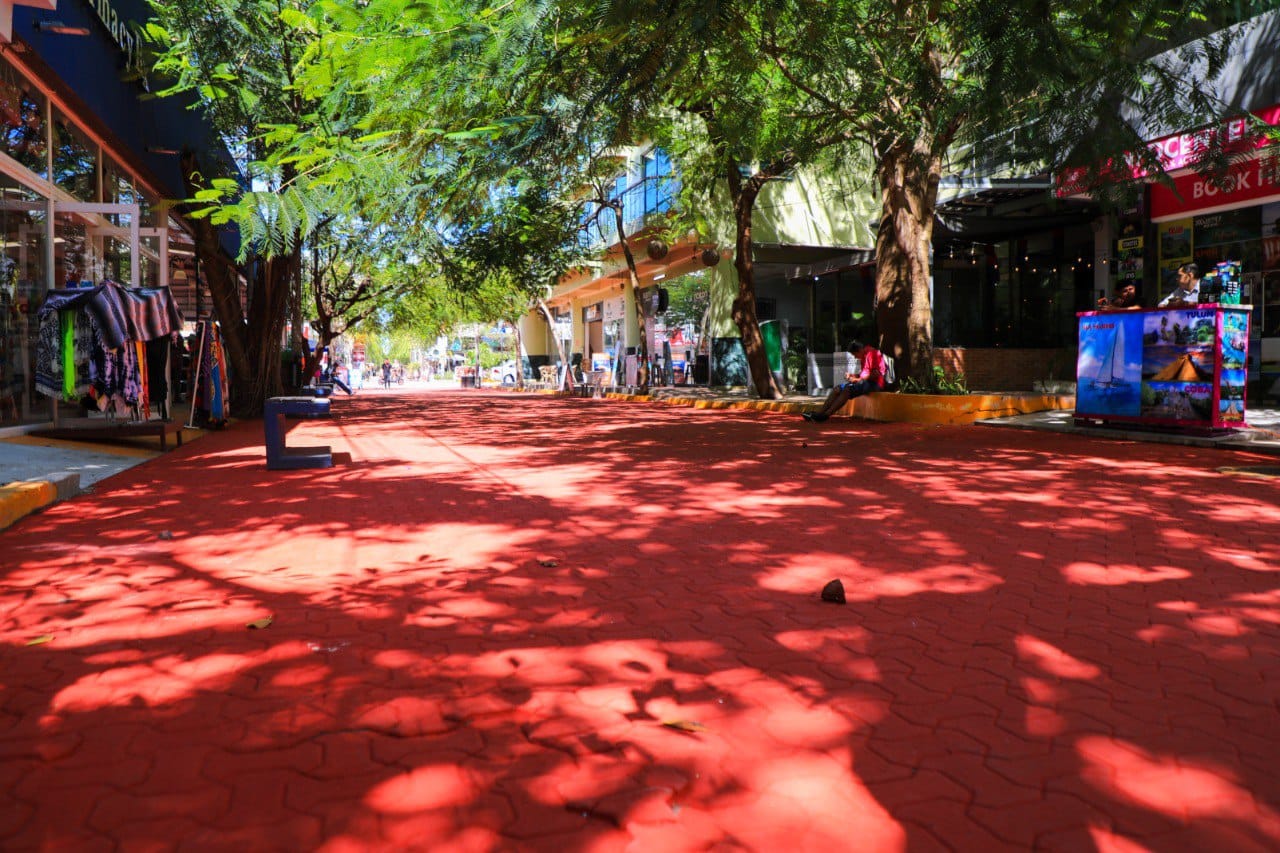 Avanza la renovación de la Quinta Avenida