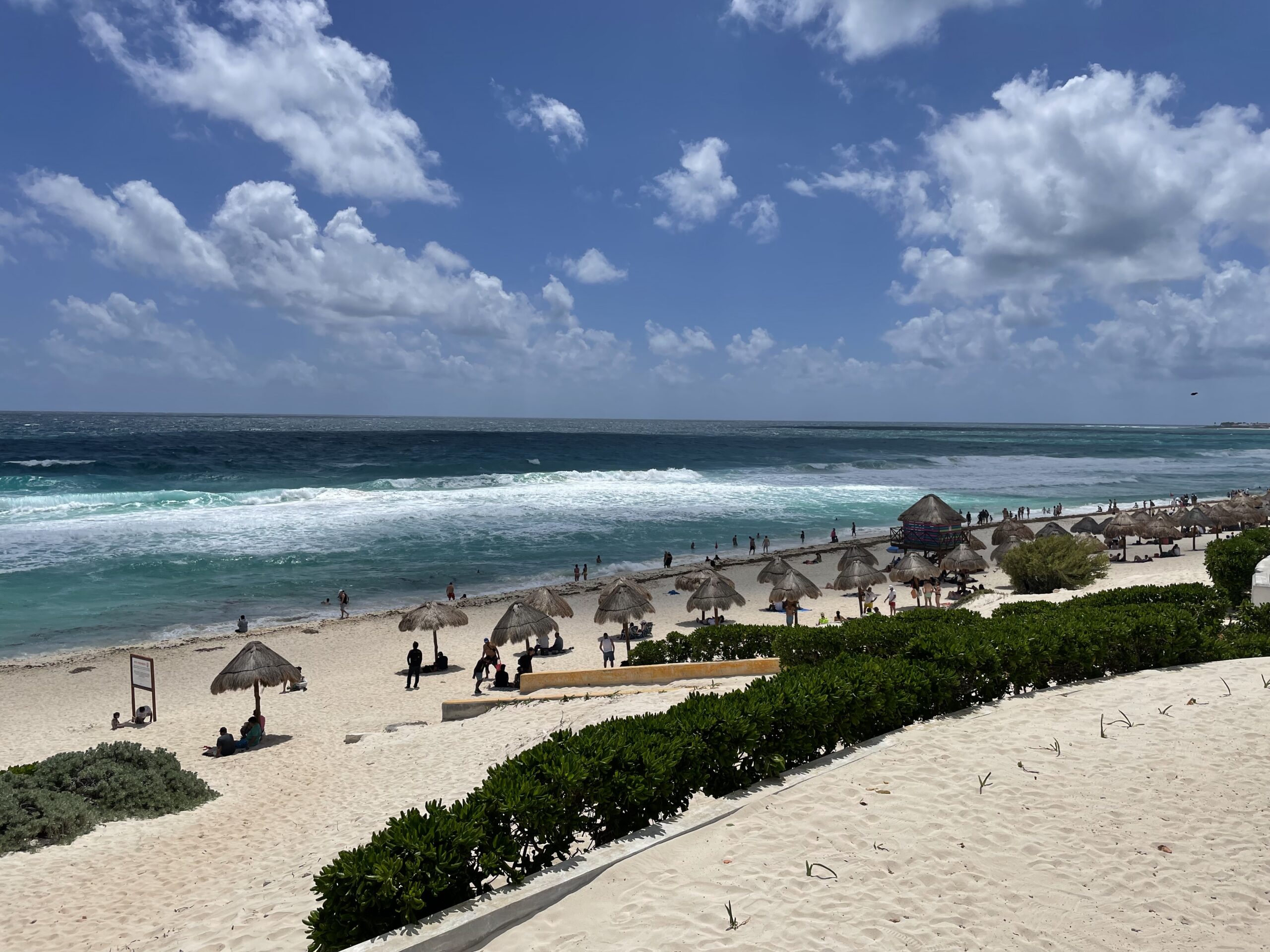 Desmienten ataque de tiburón a niño en playas de Cancún