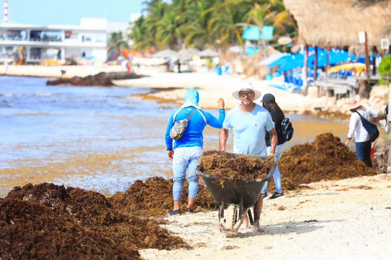 Refuerzan operativos de limpieza en playas, ante arribo de sargazo