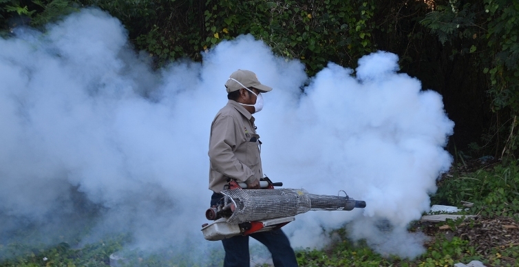 Suma el Caribe Mexicano 77 casos de dengue y sigue a la cabeza en el país