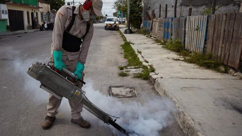 Q. Roo, en apuros por dengue; mantiene mayor incidencia del país