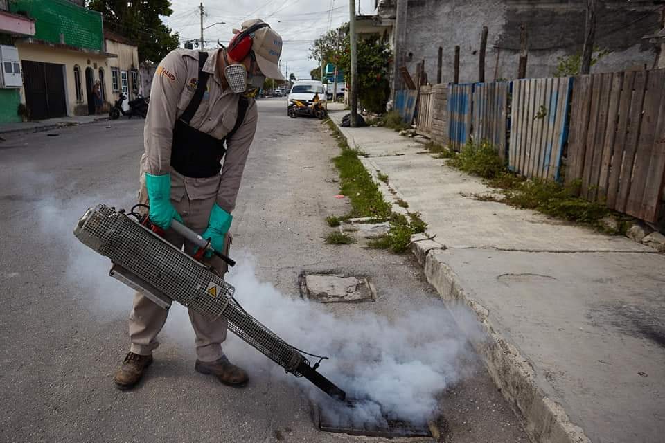 Q. Roo, en apuros por dengue; mantiene mayor incidencia del país