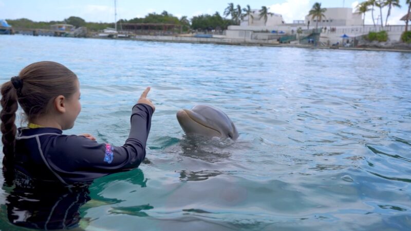 Promueve Dolphin Discovery cuidado ambiental entre los niños