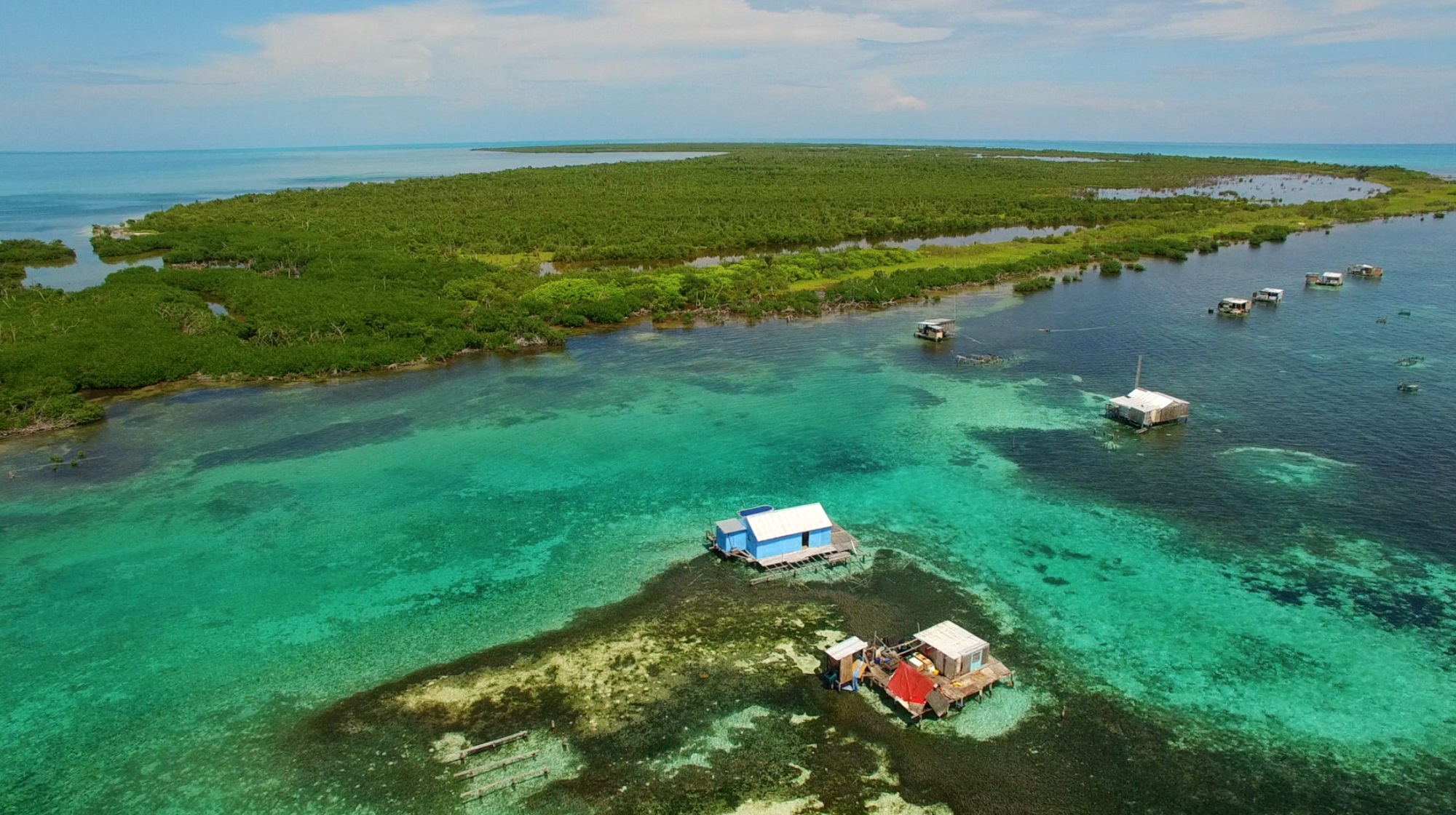 Banco Chinchorro es la isla coralina más grande de México.