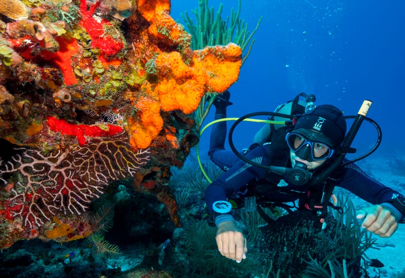 Una de las actividades favoritas de los viajeros es bucear en los más de 40 escenarios submarinos de Cozumel.