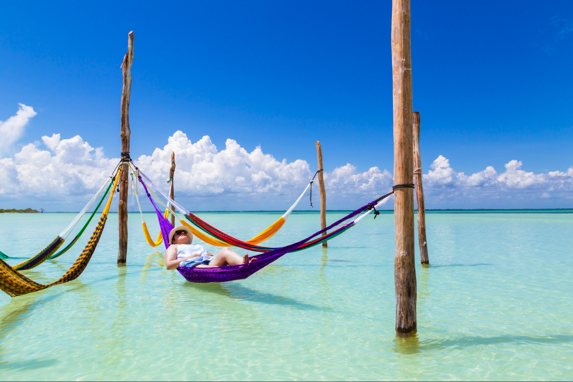 Holbox es hogar de una gran variedad de aves.