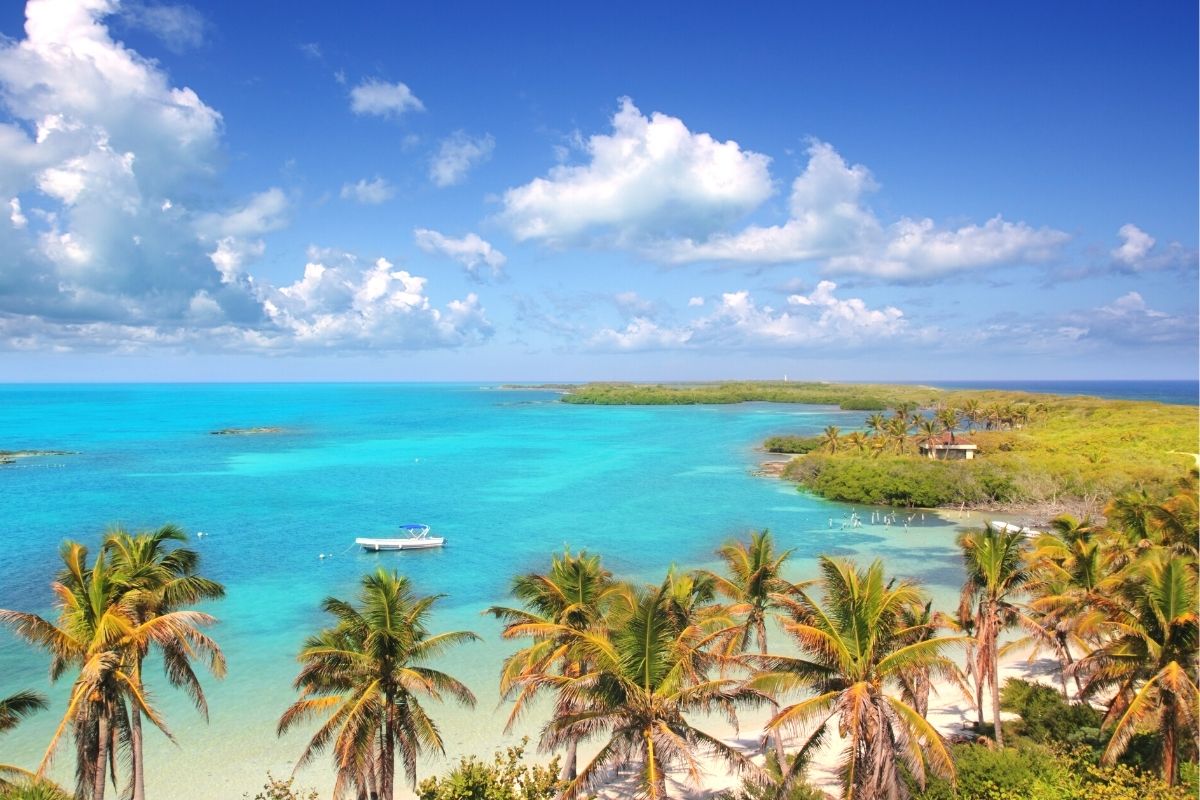 Entre las islas de Quintana Roo, Contoy es una de las más protegidas.
