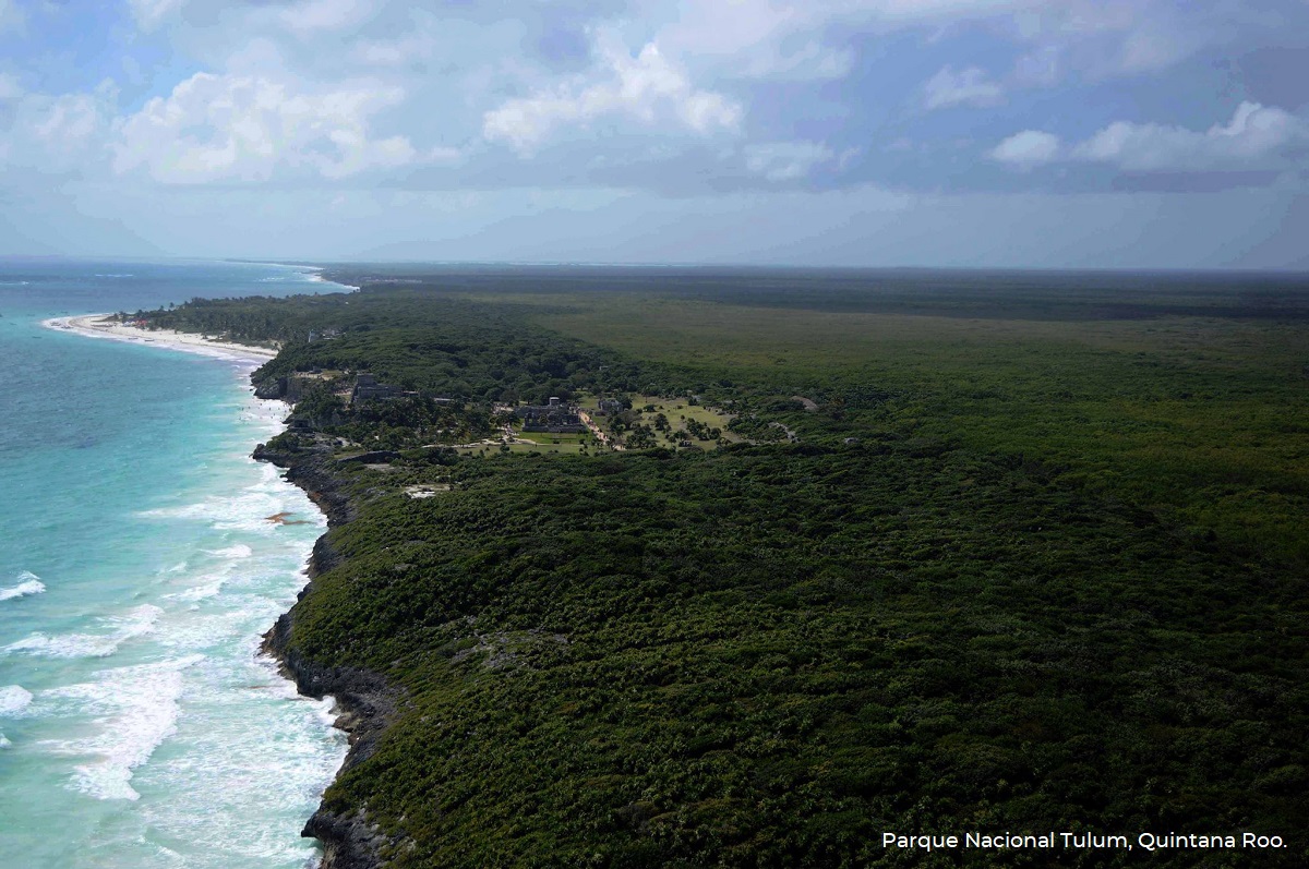 En puerta, 2 nuevas  áreas protegidas en el Caribe Mexicano