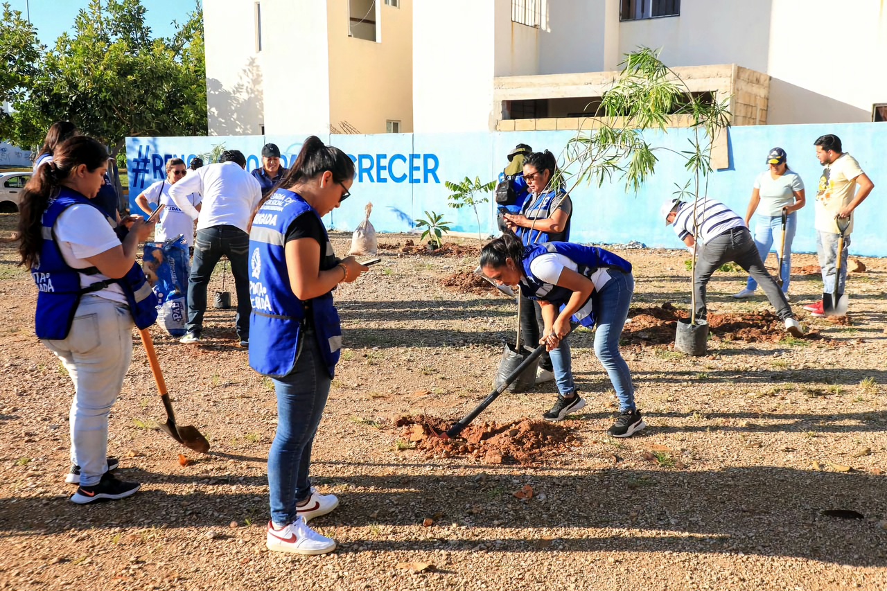 Reforestan Solidaridad con más de 19 mil árboles