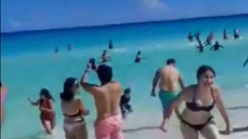 Desalojan Playa Marlín en Cancún, por presencia de tiburón