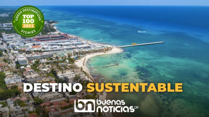 Destaca a nivel mundial gestión del sargazo en Playa del Carmen