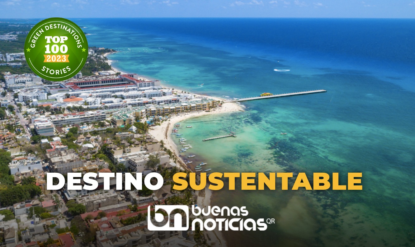 Destaca a nivel mundial gestión del sargazo en Playa del Carmen