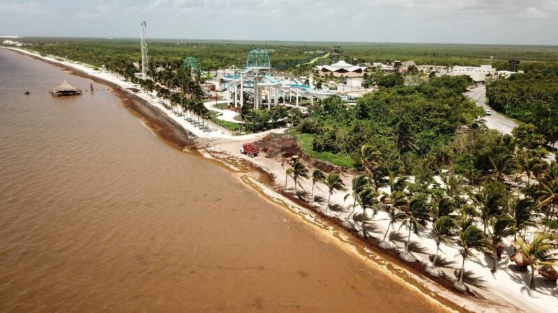 Pierde Quintana Roo 40 mil millones de pesos por el sargazo