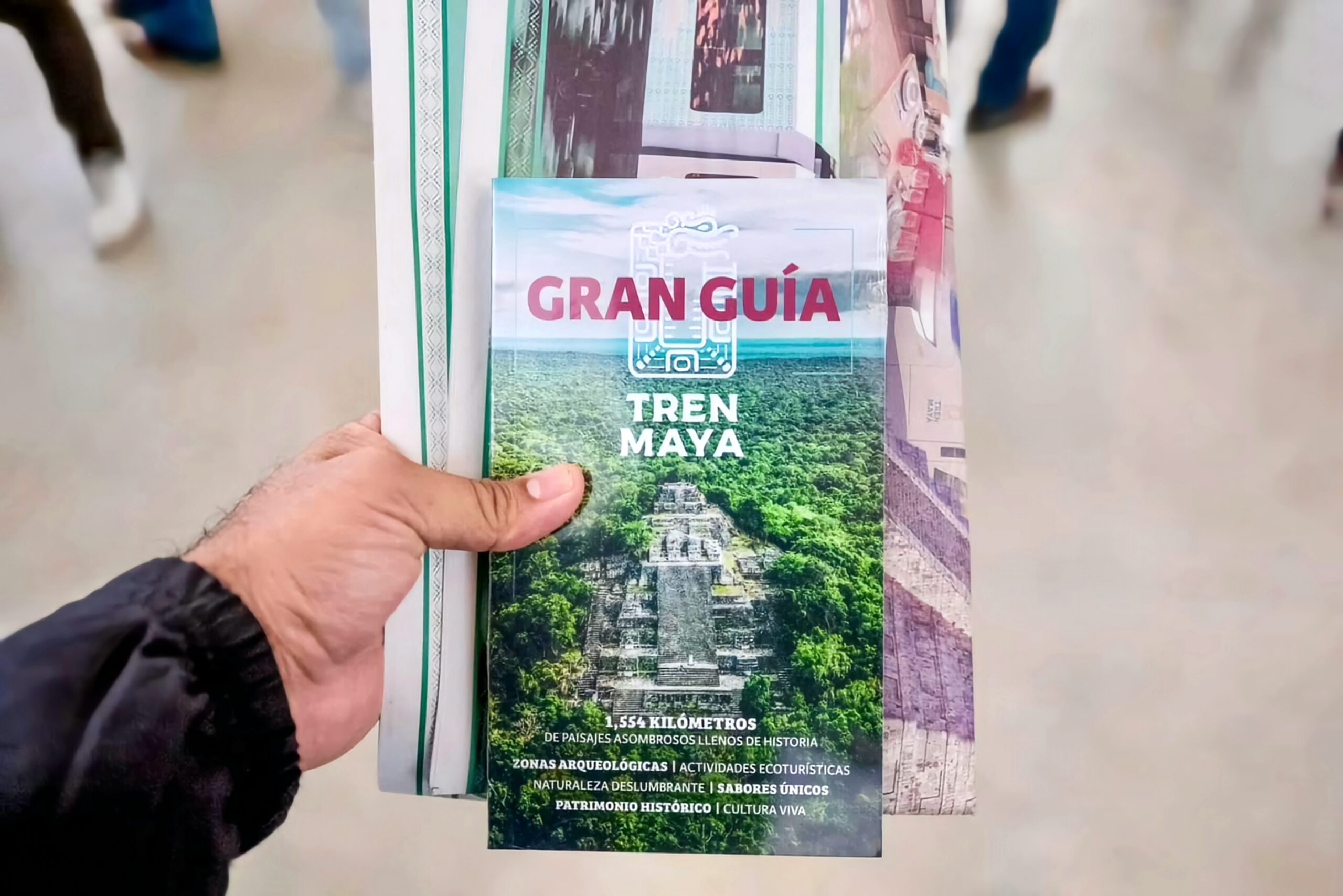 Diseña tu viaje con la Gran Guía del Tren Maya; descárgala aquí