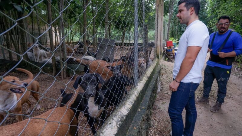 Respaldan lucha por el bienestar animal en Cancún