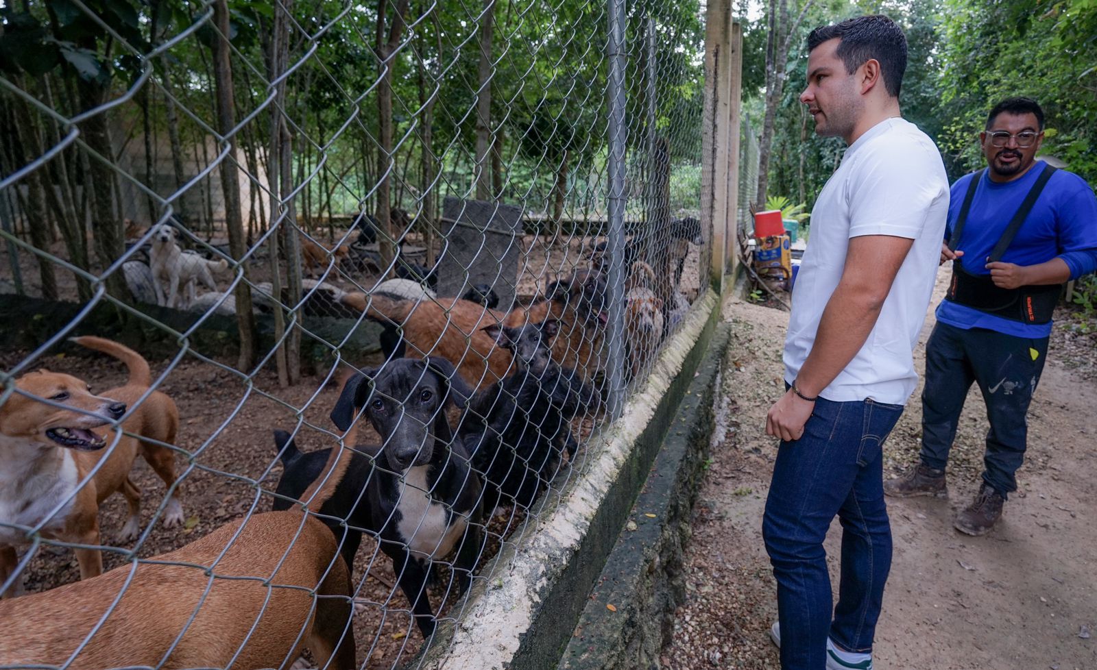 Respaldan lucha por el bienestar animal en Cancún