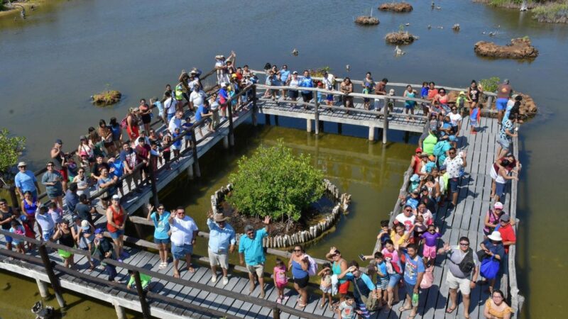 Parque Ecoturístico Punta Sur, nicho de conocimiento para estudiantes