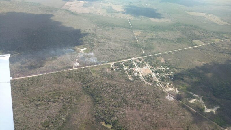¿Cuántos incendios forestales activos en Q. Roo y qué municipios?