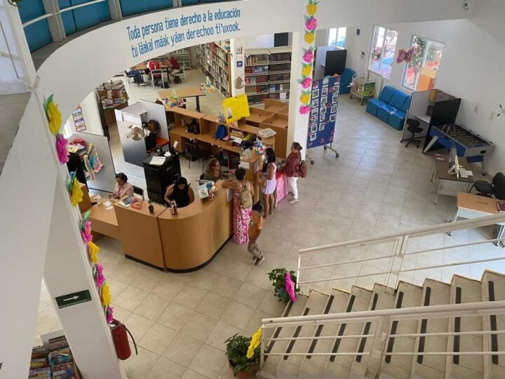 ¿Ya conoces las bibliotecas de Solidaridad?; hay visitas guiadas