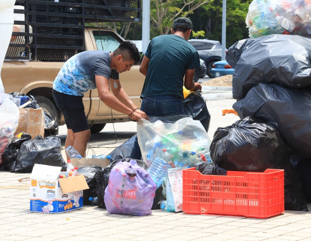 Cómo solicitar la recolección de residuos a domicilio en Solidaridad