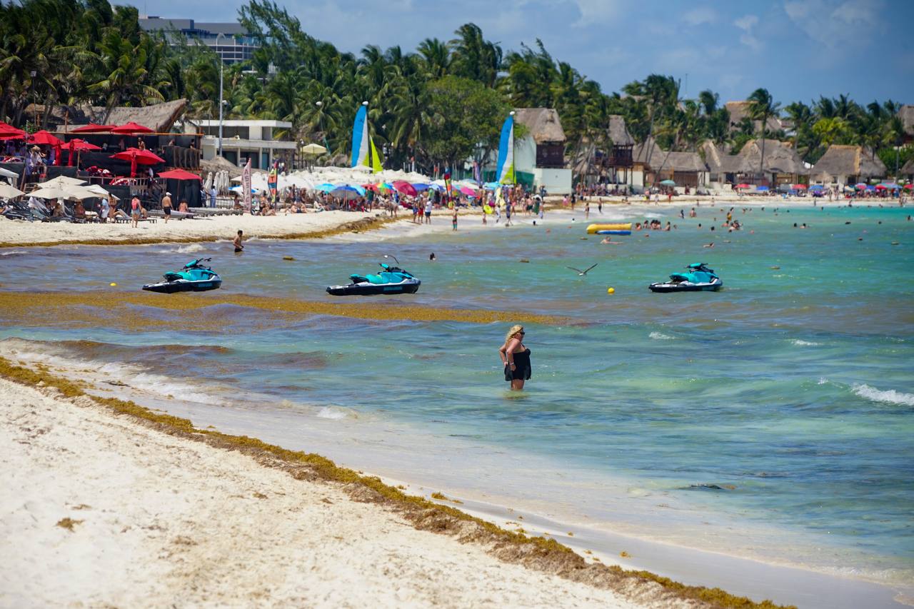 Semáforo del sargazo para Playa del Carmen; solo 3 puntos rojos