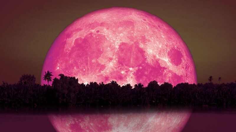 Luna de Fresa adornará el cielo nocturno este mes de junio