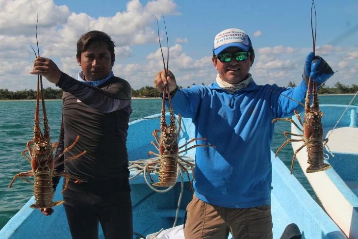 Huracán Beryl obliga a pescadores a diversificarse para sobrevivir