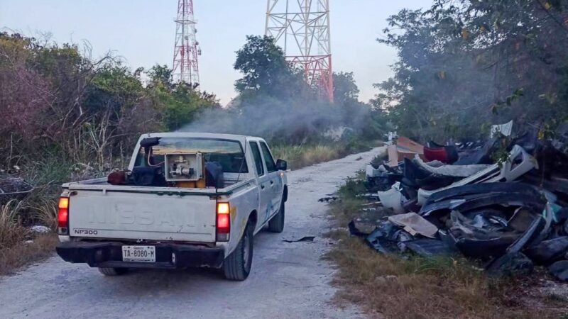 Intensifican combate del dengue en la Riviera Maya