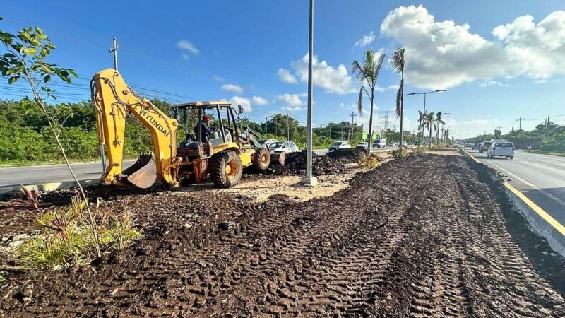 Continúan renovando el camellón de la carretera federal