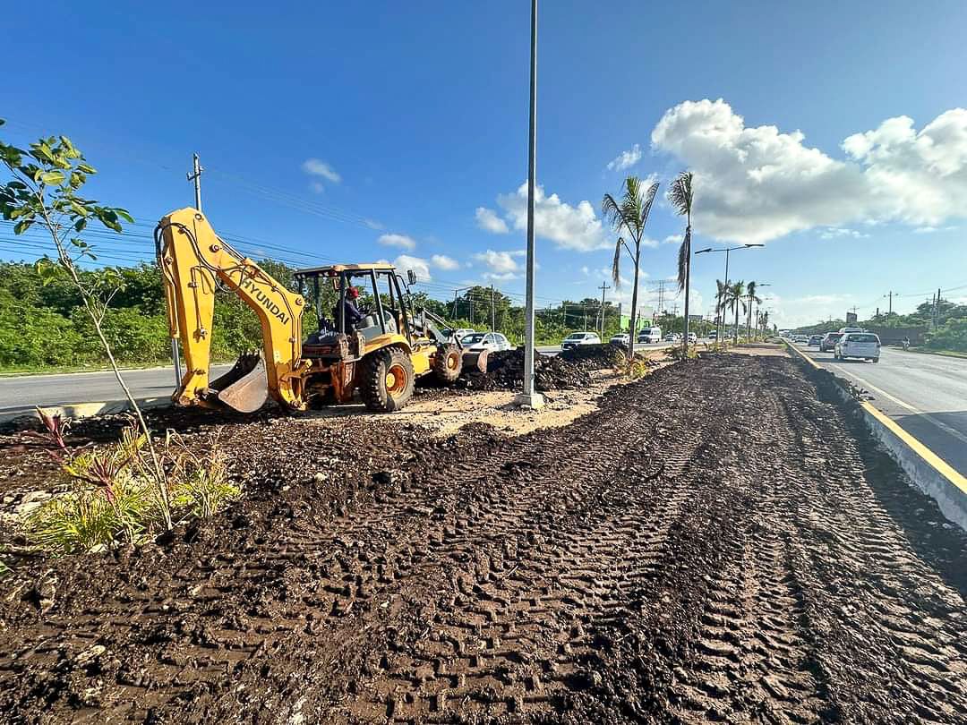 Continúan renovando el camellón de la carretera federal