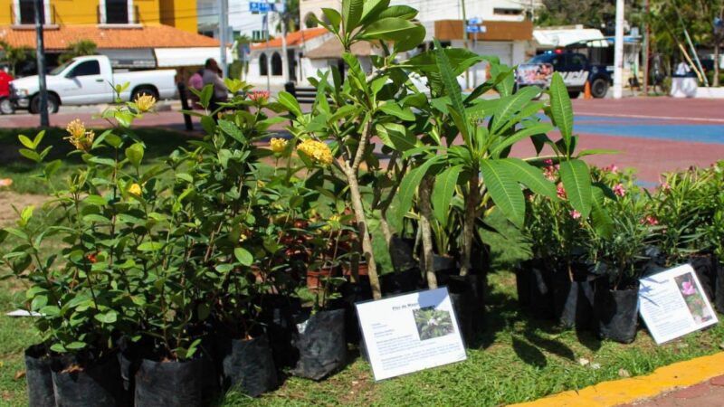 Kilo Verde y Croquetón llegarán al Centro y Villas del Sol