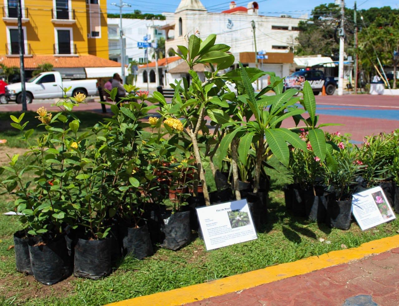 Kilo Verde y Croquetón llegarán al Centro y Villas del Sol