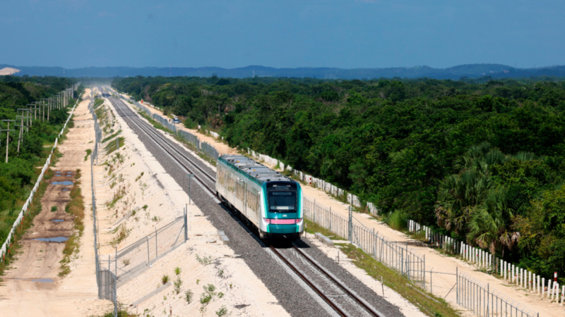 Tunden en Alemania al Tren Maya; lo llaman “horror ambiental”