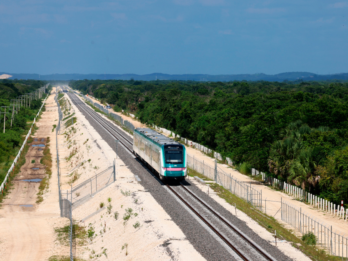 Tunden en Alemania al Tren Maya; lo llaman “horror ambiental”