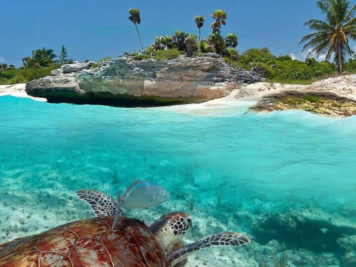 Mira esta playa secreta de Quintana Roo, lejos del turismo masivo