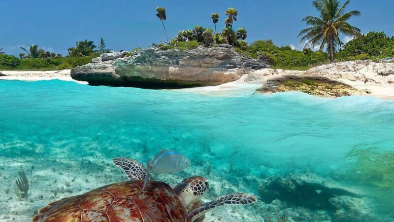 Mira esta playa secreta de Quintana Roo, lejos del turismo masivo