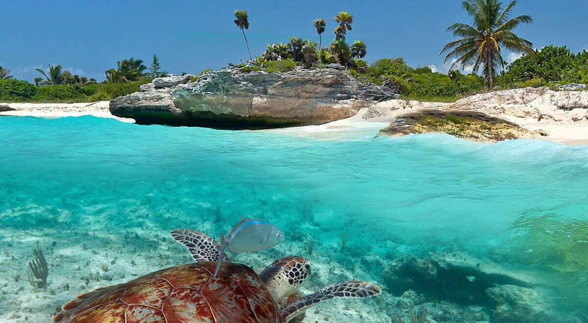 Mira esta playa secreta de Quintana Roo, lejos del turismo masivo