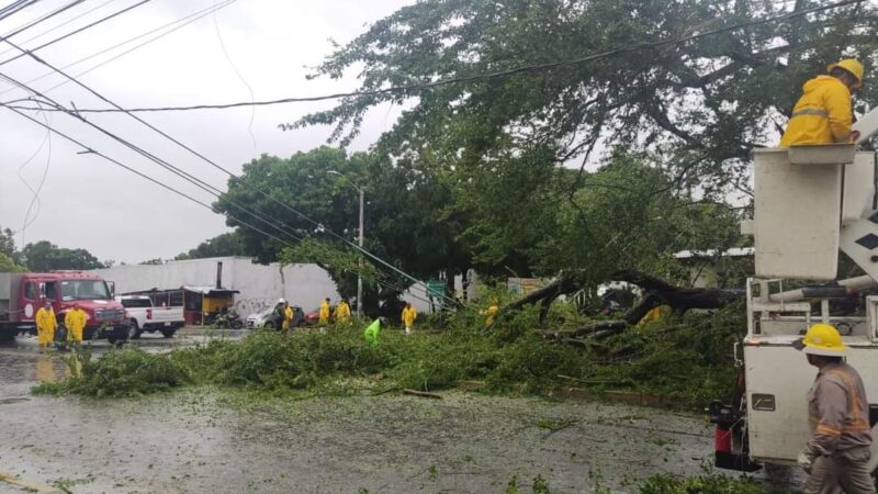 Continúan suspendidas las clases en tres municipios de Q. Roo