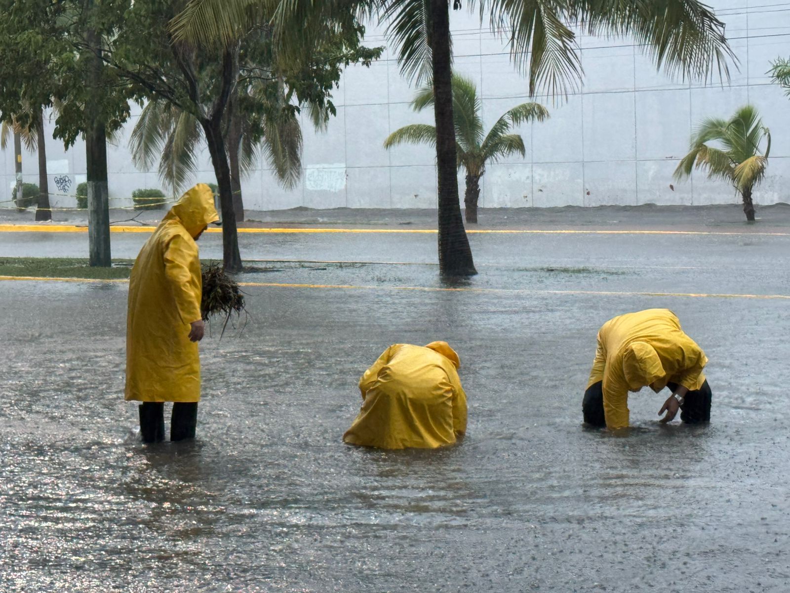 Deja “Helene” inundaciones y caída de árboles y postes en Cancún 