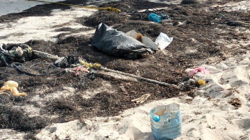 Puerto Juárez: Más de 10 kilómetros de playa afectada por basura