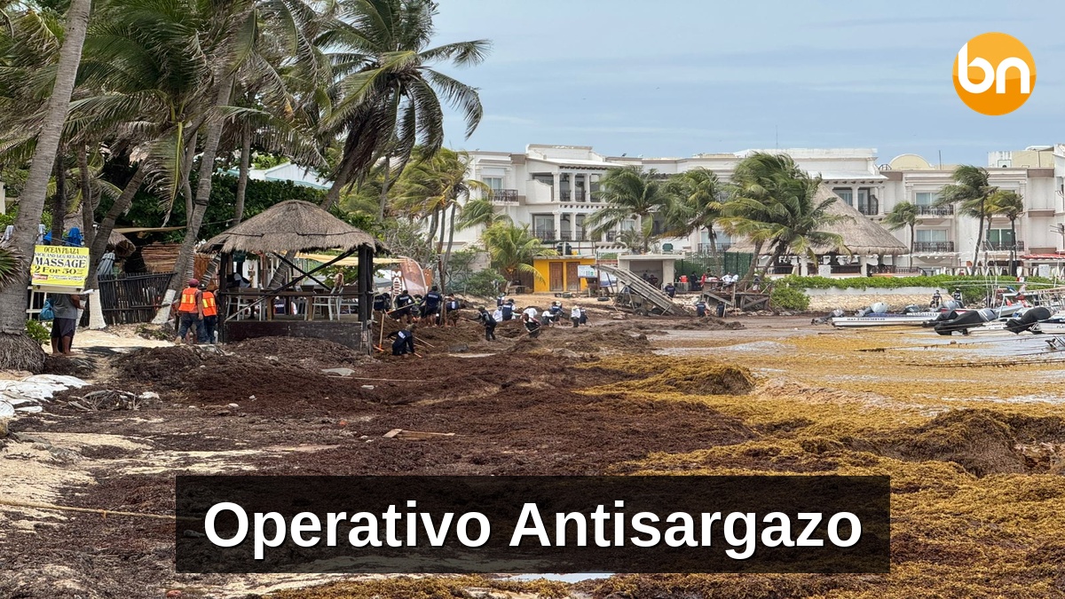 Plan Marina contra el sargazo entra en acción en Playa del Carmen