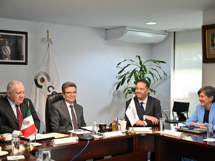 ANAM y Cofepris refuerzan controles sanitarios en aduanas