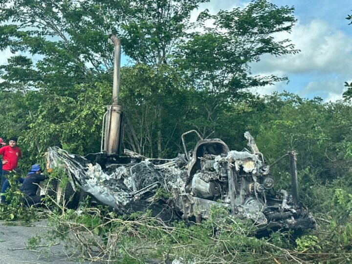 Arde tráiler tras salirse de la carretera cerca de Leona Vicario