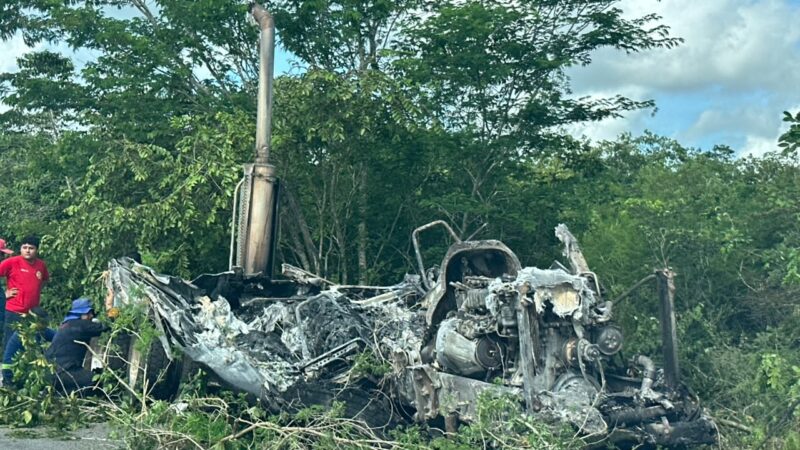 Arde tráiler tras salirse de la carretera cerca de Leona Vicario