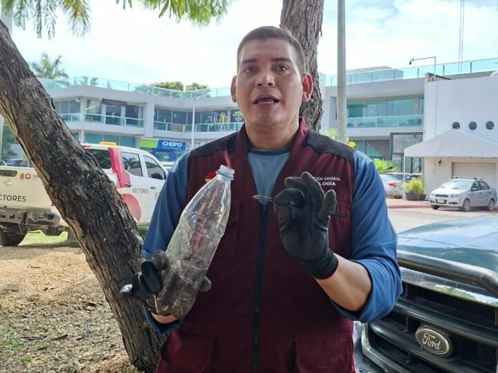 Agujas y bisturíes aparecen en parque de Cancún