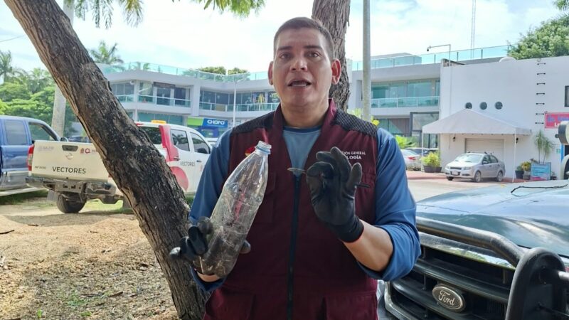 Agujas y bisturíes aparecen en parque de Cancún